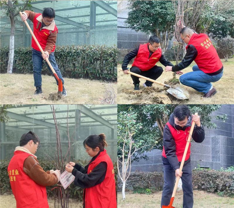 植树节图片 (2).jpg